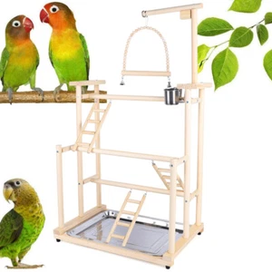 Pet Parrot Playstand Wood Perch Gym Play Parrots Bird Playground Bird Play Stand - Picture 1 of 10