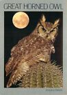 Postcard Great Horned Owl- #2