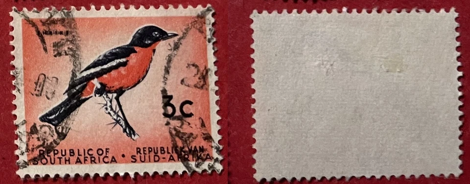 South Africa 1961 3 c Shrike Bird Sc-259 Used #W15 - US Seller - Image 1 of 1