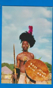 Zavala warrior ETHNIC AFRICA MOZAMBIQUE MOÇAMBIQUE, old used postcard - Picture 1 of 2