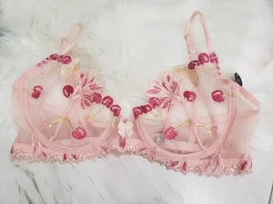 NEW - STUNNING Pink Lace Cherry Print Embroidered Lingerie Bra 38D - Picture 1 of 7