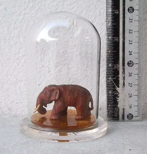 Miniature Pinaceae Wood Elephant in a Glass Jar Samsak Meewan - Picture 1 of 12