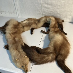 Vintage Red & Tan Fur Stole Wrap, Scarf - 4 Pelts w/Crochet Snap Ferris Brothers - Picture 1 of 20