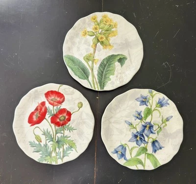 JUEGO DE 3 platos florales botánicos Pier 1 de 9" Foto 1 de 4