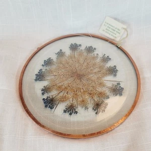 Vidrio de flores prensadas secas con marco de color cobre hecho a mano ventana atrapasol 6" - Imagen 1 de 20