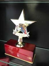 8" Star Award Employee of the Month/Teamwork/Sports Plaque-Free Engraving