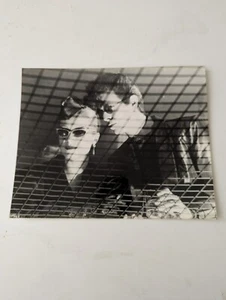 David Bowie & Catherine Deneuve: The Hunger 10" X 8" Photo - Picture 1 of 3