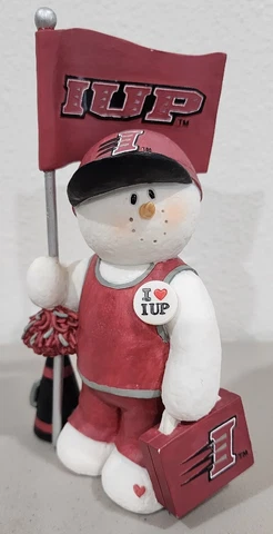 Indiana University of Pennsylvania IUP 25 Game Day Fan Figure Flag Sarahs Attic Cover