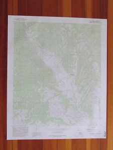 San Lorenzo Nuevo México 1985 Original Vintage USGS Mapa Ratón - Imagen 1 de 1