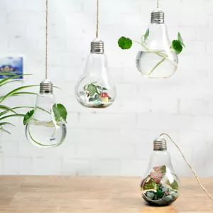 Hanging Glass Globe Wall Hanging Planters Clear Glass Planter - Picture 1 of 11