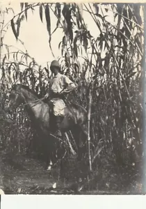 Photo Analogue Africa Sudan? Colony Bell Circa - Imagen 1 de 1