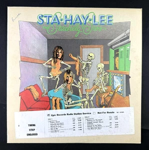 The Staehely Brothers Sta-Hay-Lee Promo vinyl record LP 70s Timing Strip DJ Copy - Imagen 1 de 9