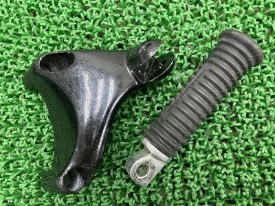 Paso pasajero izquierdo para Harley-Davidson XL883/XL1200 Sportster (2004-20... Foto 1 de 4