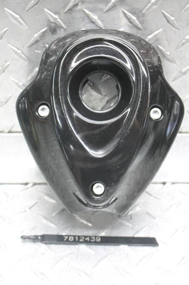 Indian Scout Sixty 2017 cubierta lateral de encendido del motor izquierdo Foto 1 de 4