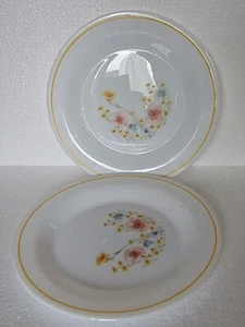Two Vintage Retro  Arcopal  Spring Meadow Flowers  Pattern 8" Salad Plates - Picture 1 of 2
