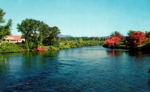 Postal Moose River, Jackman, Maine - Imagen 1 de 2