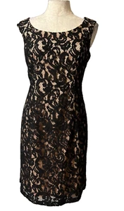 Adrianna Papell Dress Black Tan 10 P 10P Stretch Cotton Lace Sheath Sleeveless - Picture 1 of 6