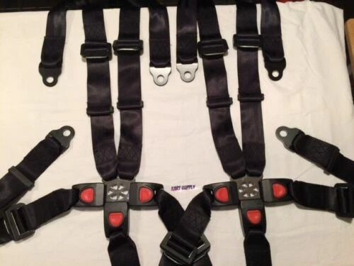 Conjunto de cinturón de seguridad TrailMaster 150 XRX y 150 XRS Foto 1 de 1