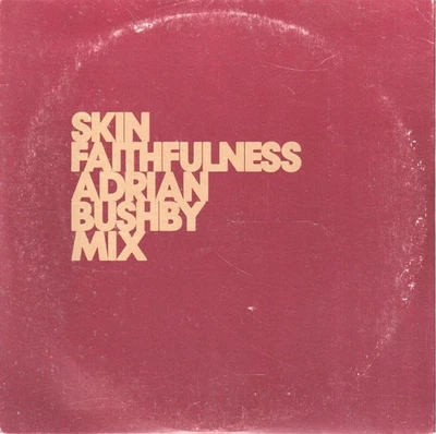 Skin (Ex Skunk Anansie) Faithfulness CD Europa Emi 2003 Promo In Kartonhülle - Bild 1 von 2