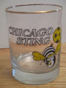 Vintage CHICAGO STINGERS Indoor / Outdoor Soccer 4" Glass w/ Gold Rim - Picture 1 of 2