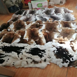 50 Pieces Natural Tanned Real Rabbit Pelts Fur Leather DIY Garment Random Colors - Picture 1 of 18