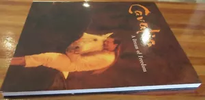 Cavalia: A Dream of Freedom~ Francois Brousseau. Magical Man & Horse sc in MELB - Picture 1 of 12