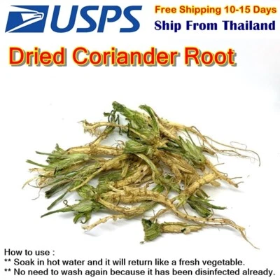 C5 Raíz de Cilantro Seco Especias Comida Cilantro Tailandés Secado Hierba Aromática Fresca Foto 1 de 4