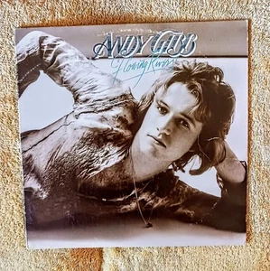 Andy Gibb - Flowing Rivers 1977 Vinyl LP RSO Records Album Vintage V Ex C vg+ - Picture 1 of 4