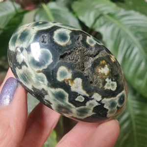 Kambaby Ocean Jasper Old Stock Orbicular Green Freeform Palm Stone 132 grams - Picture 1 of 9
