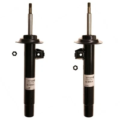 SET-S2317538 Sachs Bare Strut Set of 2 Front Driver & Passenger Side Coupe Pair - Imagem 1 de 4