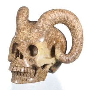 Coleccionables de calavera con cuernos de cristal fósil natural de coral de 4,17" #30J54 - Imagen 1 de 8