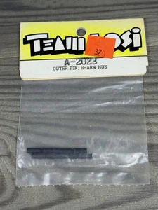 Neu A2023 Scharnierstifte für Team Losi LXT JRXPRO Junior schwarz - Bild 1 von 1