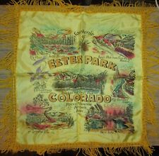 VINTAGE ESTES PARK COLORADO SATIN PILLOW COVER / TAPESTRY, 16.5" X 16", USED-VG