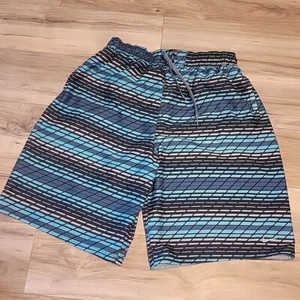 Nike 11 Volley Shorts Mens XL Board Swim Shorts Mesh Lined Striped Color - Picture 1 of 9
