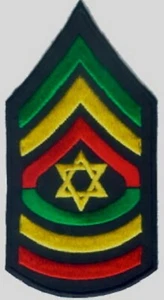 RASTA  Star in (GYR) Shoulder Embroidered Patches 2.5"x4.75" iron-on - Picture 1 of 1