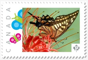 SCHWALBENSCHWANZ SCHMETTERLING = Bild Briefmarke postfrisch Kanada 2019 [p19-01-s24] - Bild 1 von 2