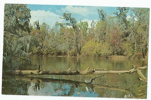 Vintage Postcard Troup Spring Lake Georgia Dublin  - Imagen 1 de 2