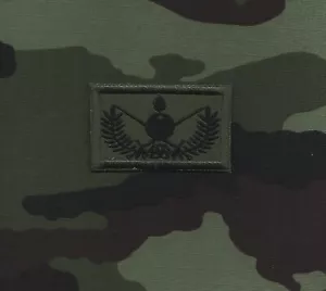 Irish Defence Forces EOD Embroidered Patch size 65 mm x 40 mm - Bild 1 von 1