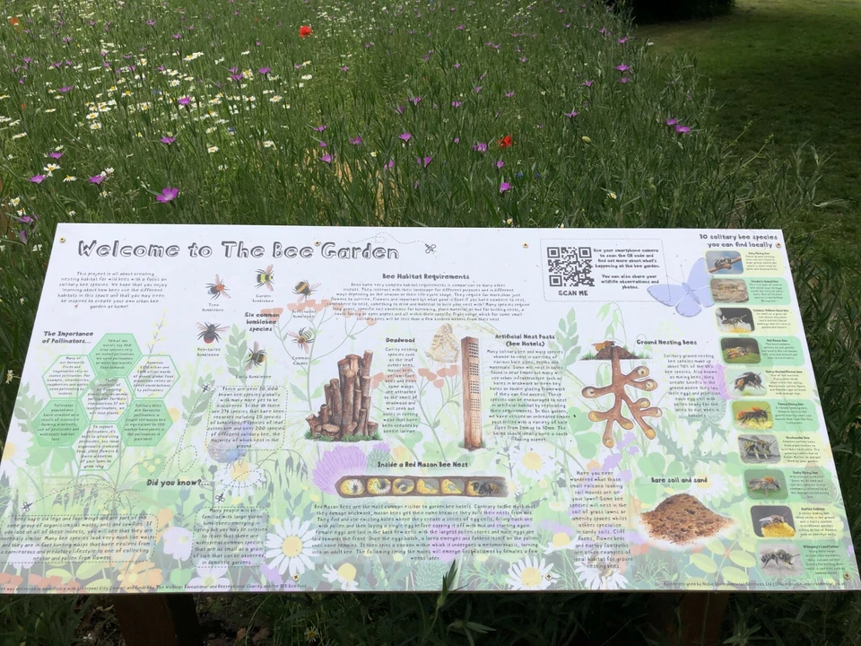 Tablero de información de señalización de jardín de abejas para aire libre, escuelas, parques, prado Foto 1 de 1