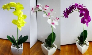 2 Pcs Artificial Butterfly Orchid Flower Plants With Leaves (#28-3) - Picture 1 of 12