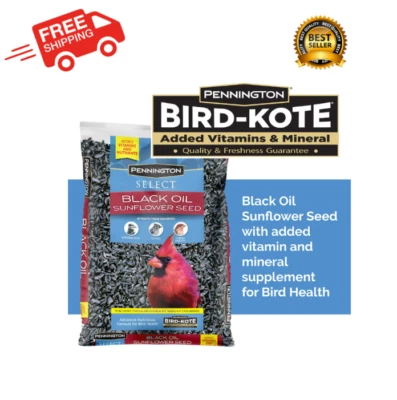 Pennington Select Black Oil Sunflower Seed Wild Bird Feed, 10 lb. Bag