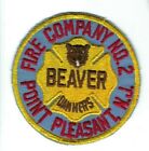 RARE Point Pleasant (Ocean County) NJ New Jersey Fire Co. 2 BEAVER DAMMERS patch