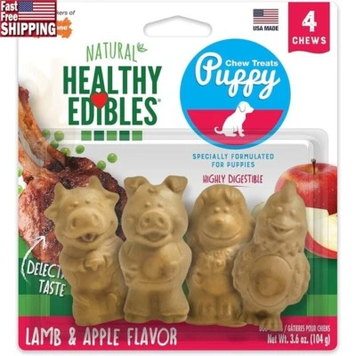 Healthy Edibles Natural Puppy Chews Long Lasting Lamb Apple Flavor Dental Treats - Image 1 of 4