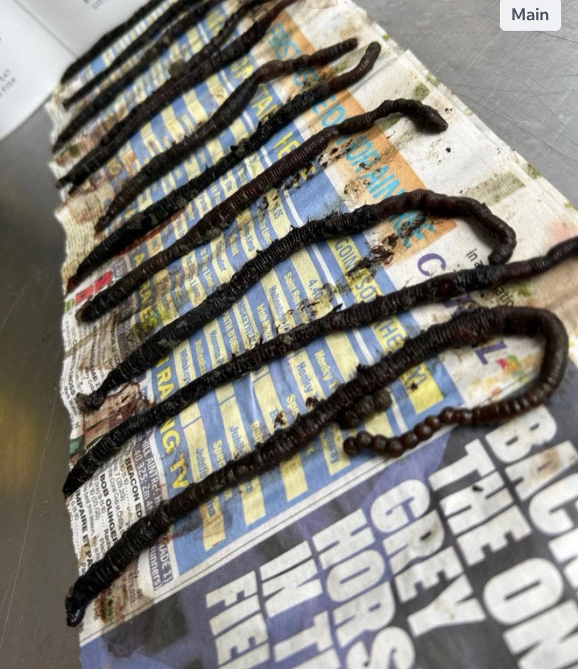 Envolturas negras Blast Frozen 10XB Foto 1 de 1