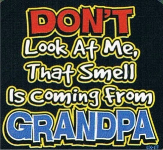 Camiseta para niños THAT SMELL IS COMING FROM GRANDPA muchos colores 2-4 = XS a 14-16 = LG Foto 1 de 1