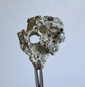 Pietra Hag Holey Naturale Spiaggia Roccia Da Sogno Pietra Strega Pietra Protezione GG10 - Foto 1 di 8