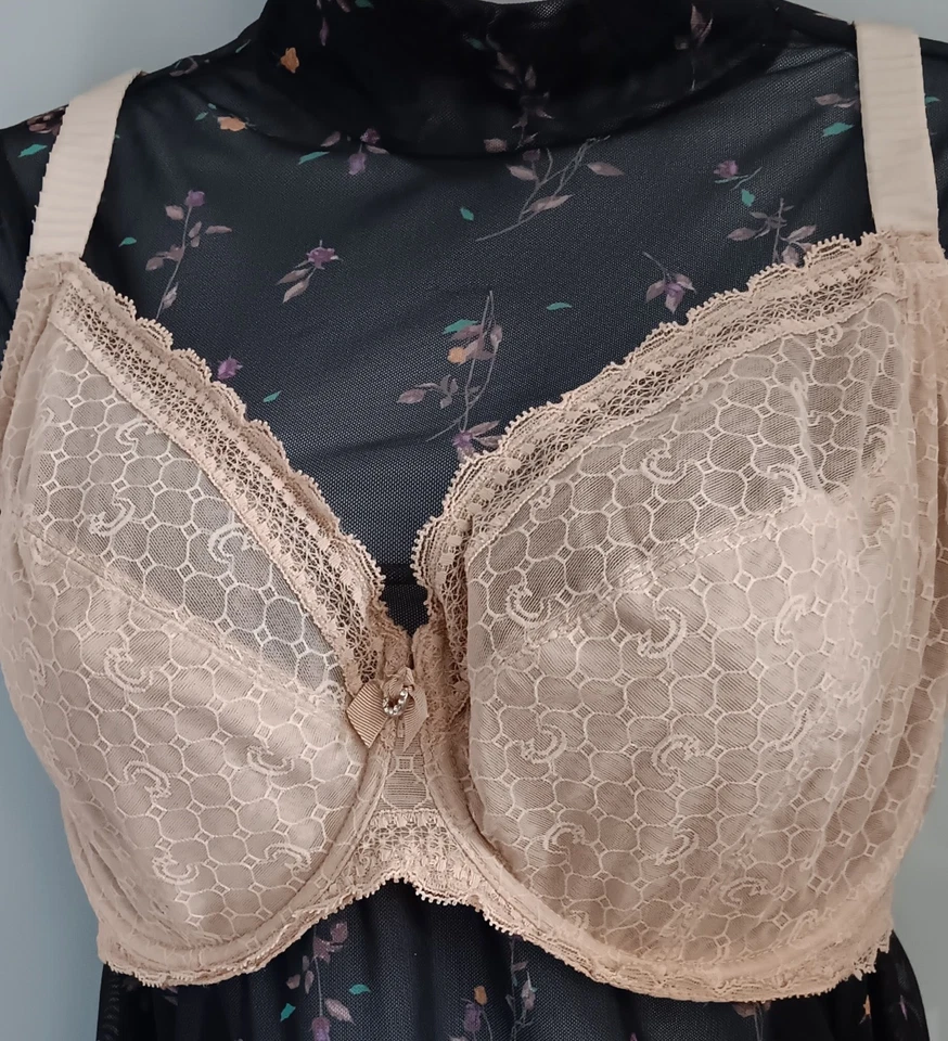 Sujetador de copa de 3 piezas con aros sin relleno de encaje beige oscuro con encaje EE. UU. 38DDD/38G/38F Foto 1 de 4