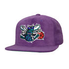 Mitchell & Ness Charlotte Hornets "All Directions" Snapback Hat (Purple) Cap