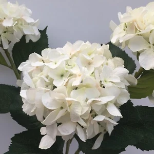 Manojo de 3 flores artificiales de lujo de hortensia seca sintética mezcla marfil realista. - Imagen 1 de 5