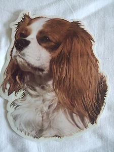 GRAND AUTOCOLLANT  - motif  Tête CAVALIER KING CHARLES BLEINHEIM N° 4 - Foto 1 di 1